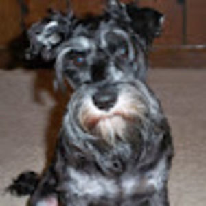 Meet your Posher, Jodi